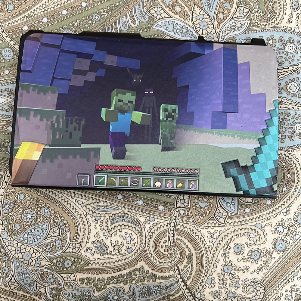Minecraft hybrid Nintendo switch cover
